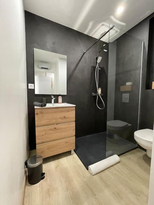 27m² Sur La Cote Pavee Avec Parking Prive Apartment Toulouse